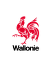 wallonie_v.png